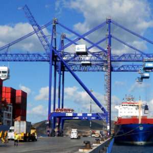 Port crane and hoisting rope